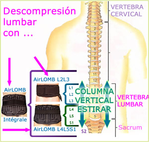 los fajas lumbar de AirLOMB posicionados como nuestro esqueleto