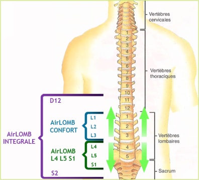 FAQ ceintures lombaires  AIRLOMB